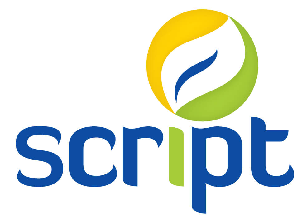 What are Scripts