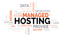 Managed Web Hosting