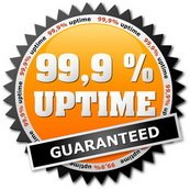 99.9% Uptime Guaranteed