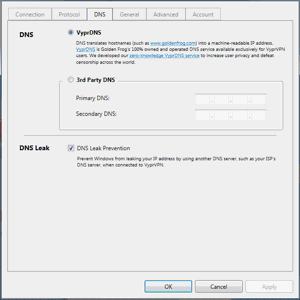 VyprVPN Windows App Screenshot - DNS Settings